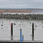Ferienhaus Neu renoviertes schwimmendes Ferienhaus Fischland in Barth Barth
