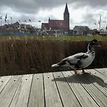 Feriehus Neu Renoviertes Schwimmendes Ferienhaus Fischland In Barth Barth