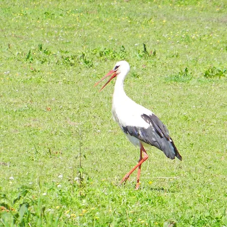 Floating Classic - Schwimmendes - Haus 2 בית נופש בארת'