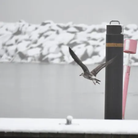 Floating Classic - Schwimmendes - Haus 2 בית נופש *