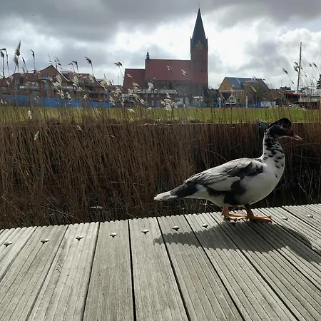펜션 Neu Renoviertes Schwimmendes Fischland In 바르트